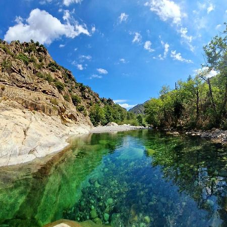 Вилла Domaine U Filanciu - Casa Ghjulia - Centru Di Corsica Moltifao Экстерьер фото