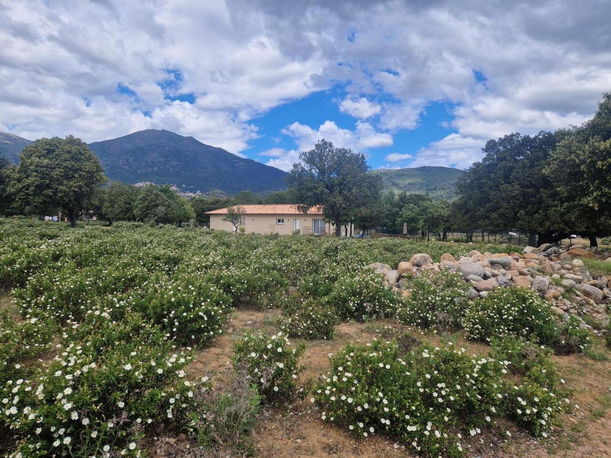 Вилла Domaine U Filanciu - Casa Ghjulia - Centru Di Corsica Moltifao Экстерьер фото